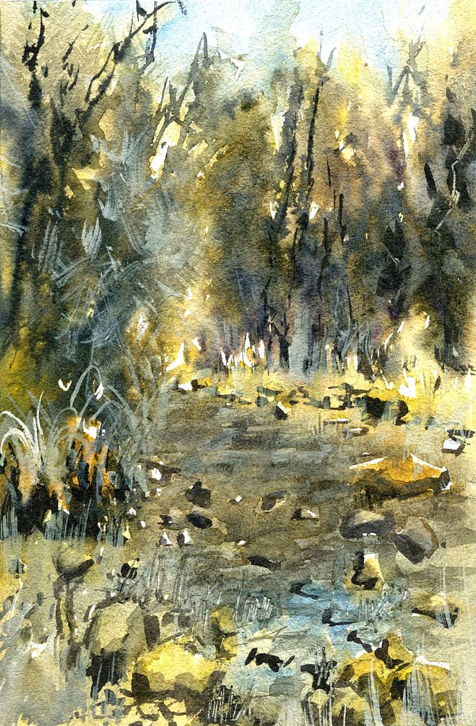 Watercolour Materials: Everything You Need