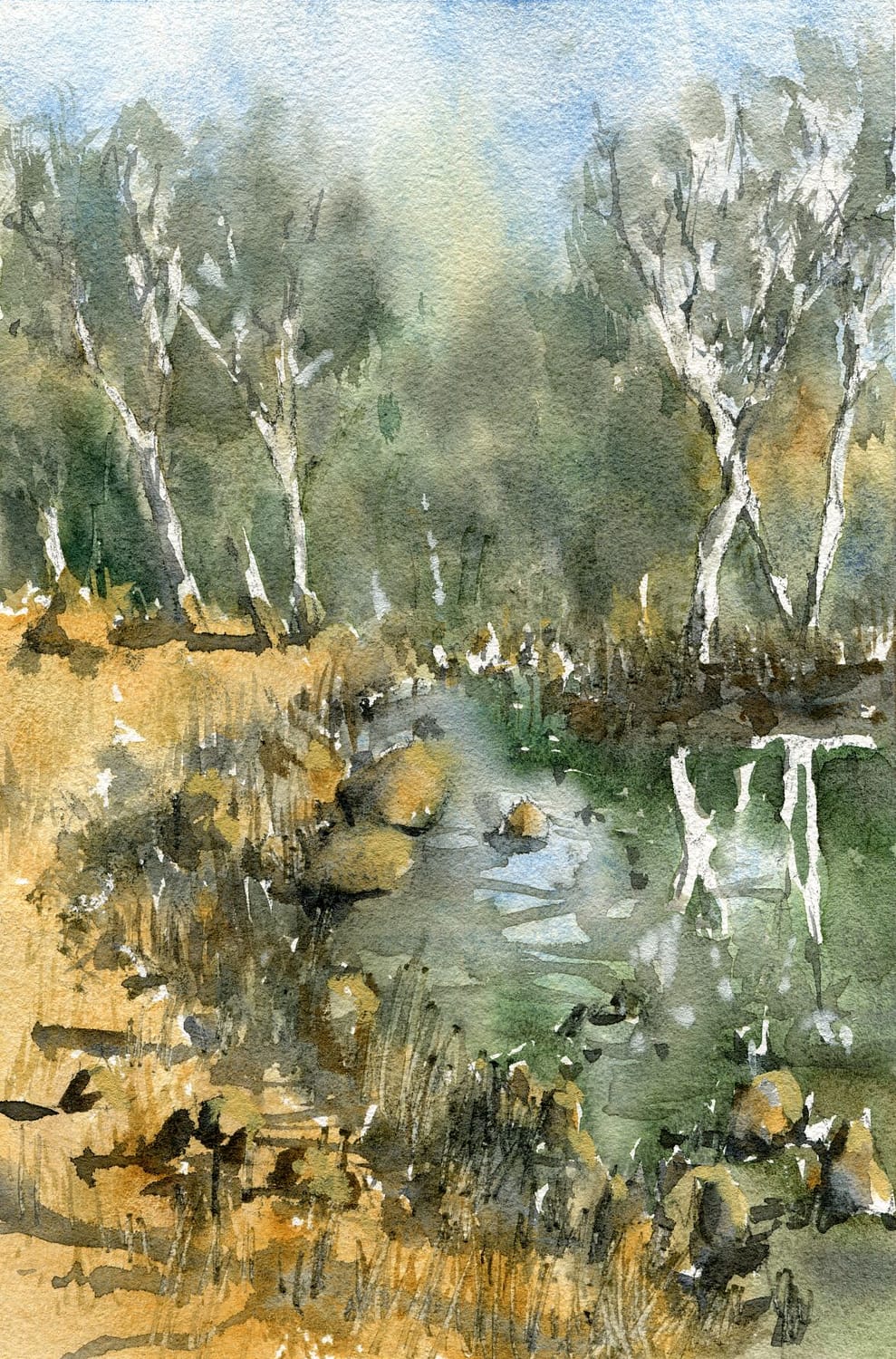 Paint an Australian Landscape Easily